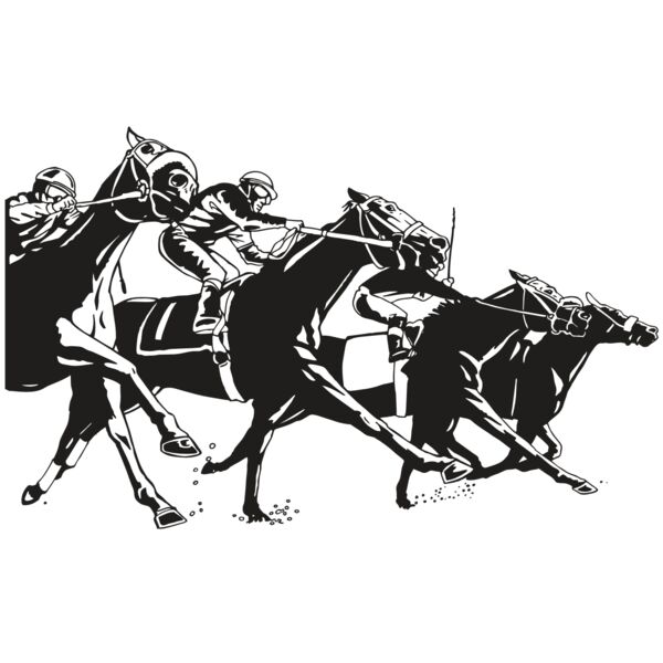 AR EQUEST 13 RC Thumbnail