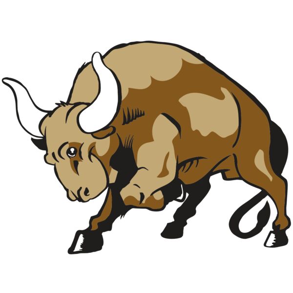 AR BULL 41 RC Thumbnail